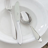 VILLEROY & BOCH Arthur Servizio Tavola Posate Set 24 Pezzi Acciaio Inox