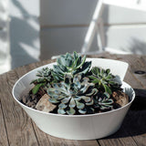 VILLEROY &amp; BOCH NewWave Vegetable Soup Tureen 4.5L Porcelain 1025253160