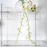 iPLEX Atmosfera 3 Transparent Plexiglass Bookcase 180x180cm Made in Italy