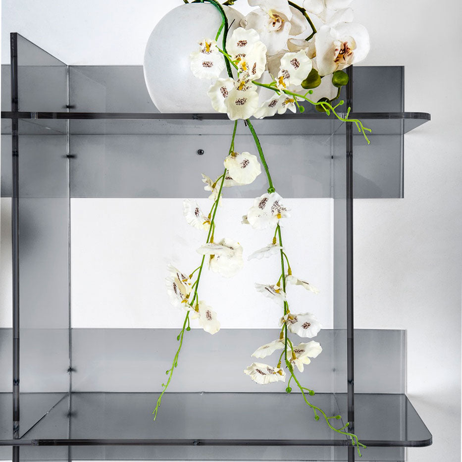 iPLEX Atmosfera 3 Libreria in PMMA 180x180cm Fumè Grigio Made in Italy