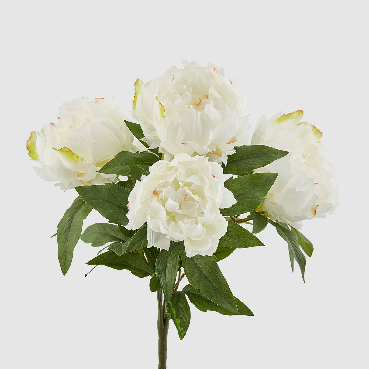 EDG Enzo De Gasperi Mazzo Peonie Artificiali 5 Fiori 48cm Bianco