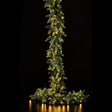 EDG Enzo De Gasperi Pino Luxury Festone Boa 270cm 170 LED Realistico Natural 630 Rami
