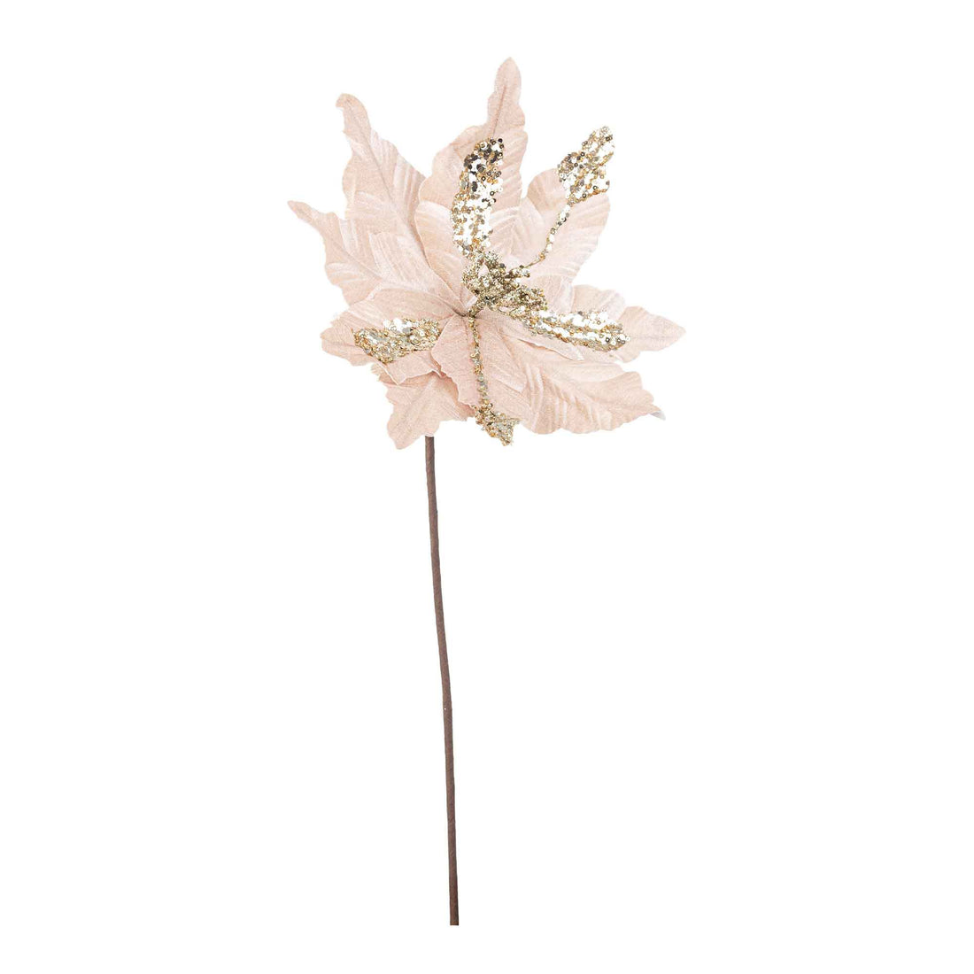 BIZZOTTO Decorazione Natalizia Fiore Poinsettia Cassandra Natale Champagne 50cm