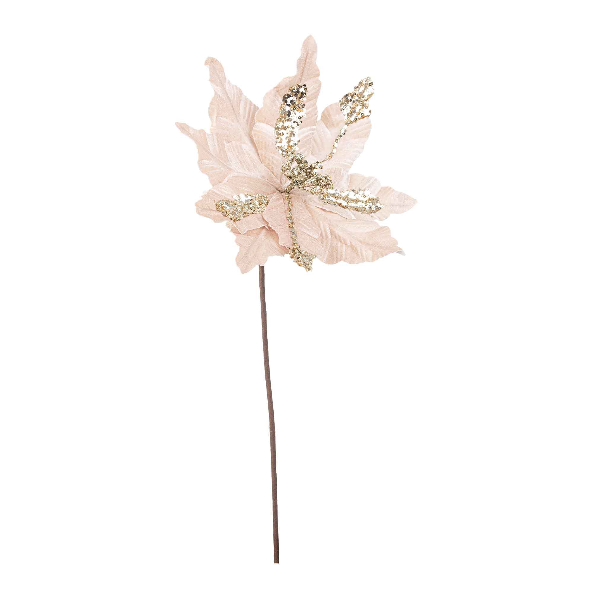BIZZOTTO Decorazione Natalizia Fiore Poinsettia Cassandra Natale Champagne 50cm
