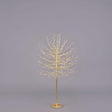EDG Enzo De Gasperi Faggio Albero di Natale Luminoso con 580 LED Oro 150cm Metallo