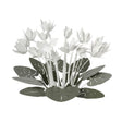ARTI & MESTIERI Centro Tavola di Design Ciclamino Verde Salvia E Bianco
