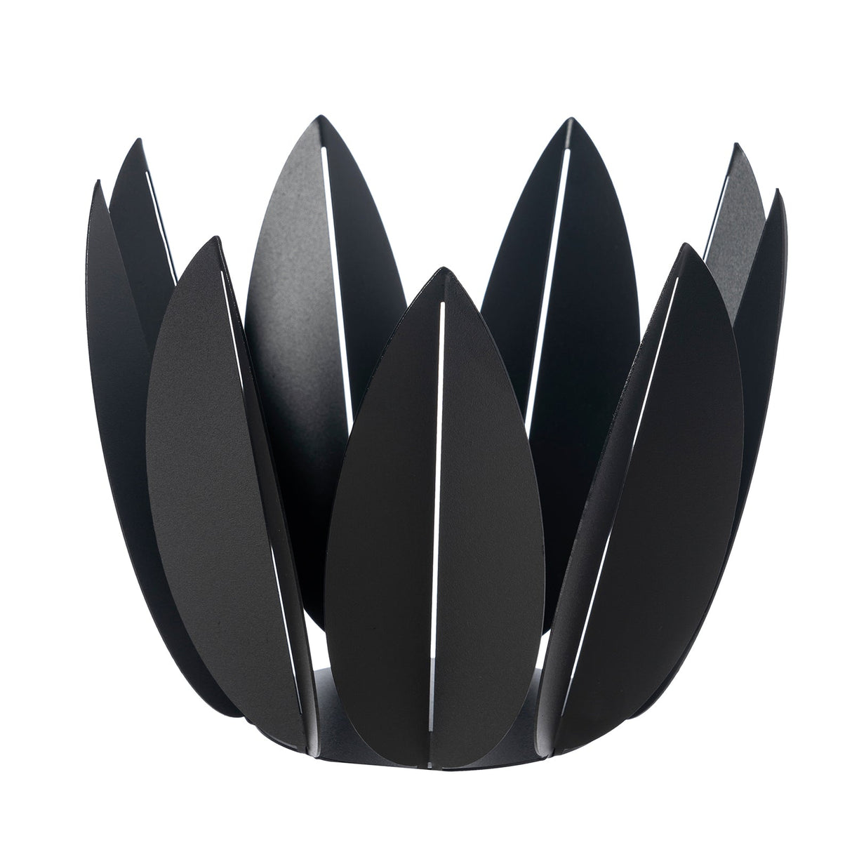 ARTI & MESTIERI Agrumiera Ficus Nero