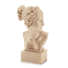 Busto di Venere Palais Royal in resina color beige altezza 35 cm