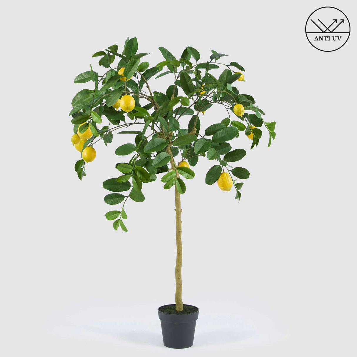 EDG Enzo De Gasperi Limone Artificiale con Vaso Anti-UV 148cm