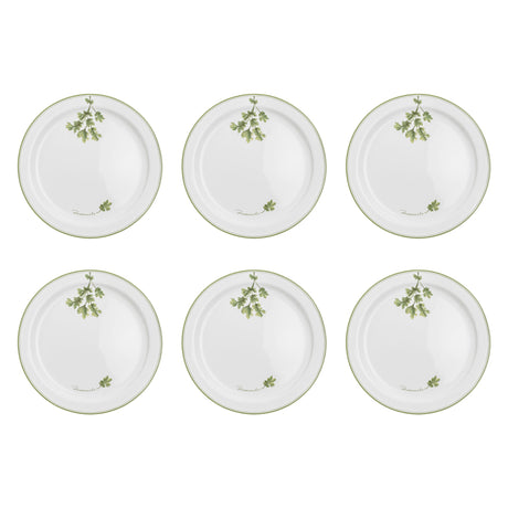 LA PORCELLANA BIANCA Coltivia Piatto Piano Set 6 Pezzi 27cm Porcellana