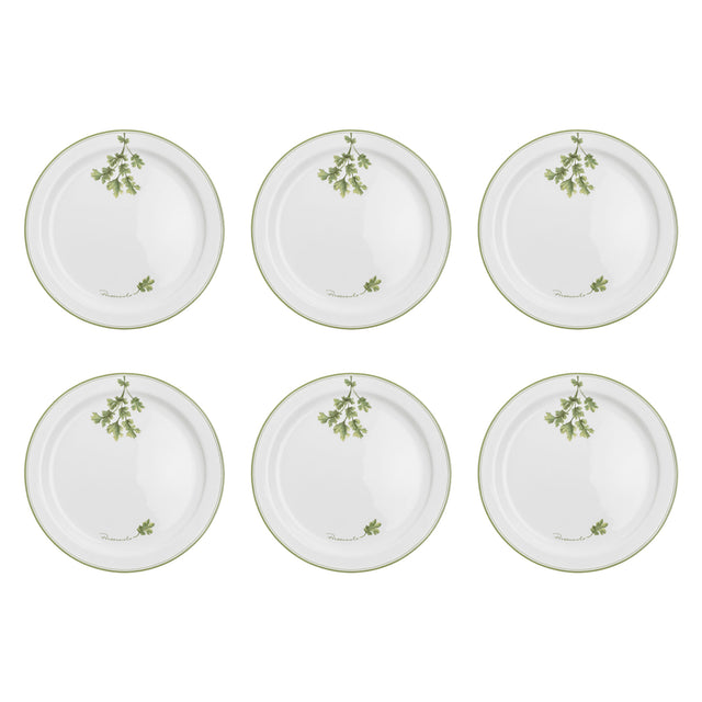 LA PORCELLANA BIANCA Coltivia Piatto Piano Set 6 Pezzi 27cm Porcellana