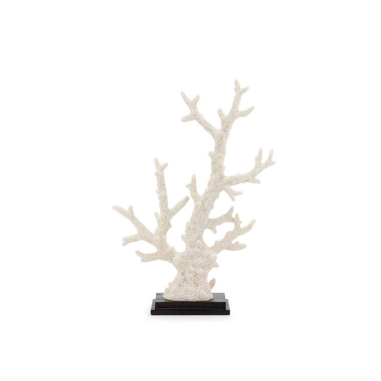 ABHIKA Corallo Decorativo 53x42cm Bianco con Base Nera
