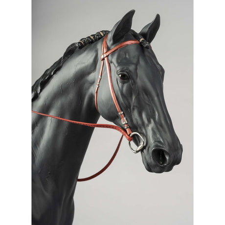 Lladró Scultura Cavallo Purosangue Inglese 44x56cm Porcellana