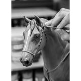 LLADRO' Scultura Cavallo Karabakh Serie Limitata 49x53cm Porcellana