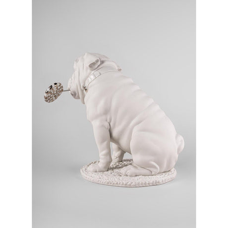 Lladró Scultura Bulldog con Lecca Lecca Re Deco 33x33cm Porcellana
