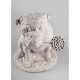 LLADRO' Scultura Bulldog con Lecca Lecca Re Deco 33x33cm Porcellana