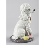Lladró Figurina Barboncino con Mochis 33x22cm Porcellana