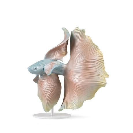 Lladró Scultura Pesce Betta Destra 35x31cm Porcellana