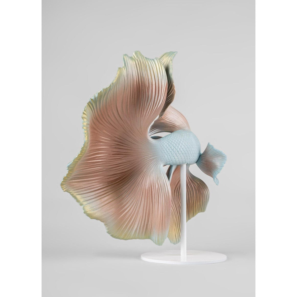 Lladró Scultura Pesce Betta Destra 35x31cm Porcellana