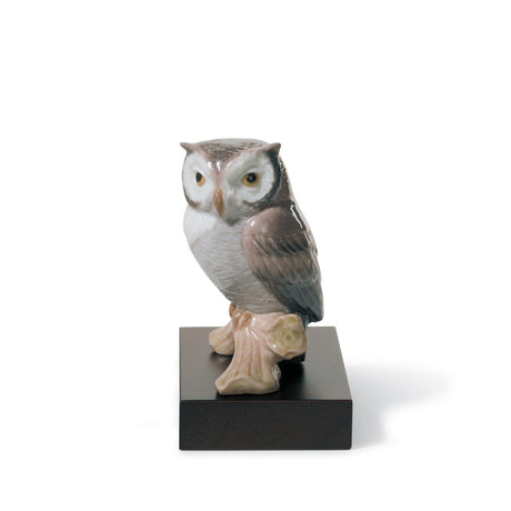 Lladró Figurina Gufo Portafortuna 10x8cm Porcellana