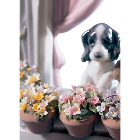 Lladró Figurina Cani Finestra Fiorita 21x18cm Porcellana