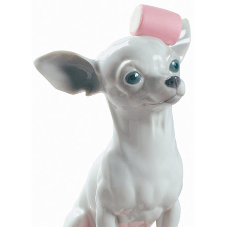 Lladró Figurina Chihuahua con Marshmallows 24x20cm Porcellana