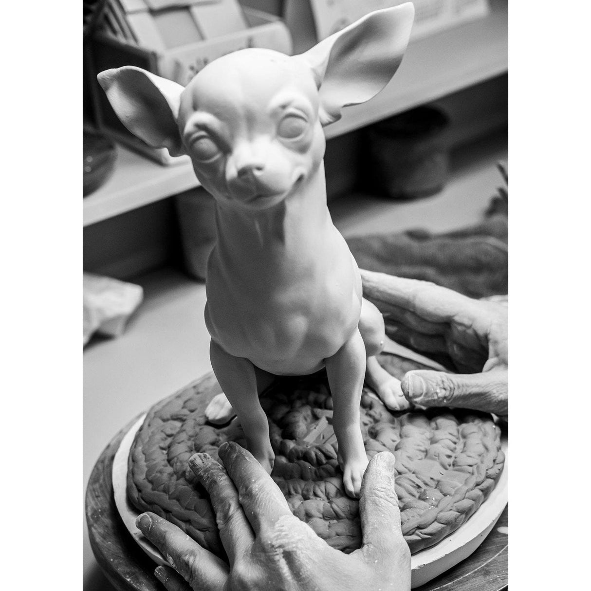 Lladró Figurina Chihuahua con Marshmallows 24x20cm Porcellana