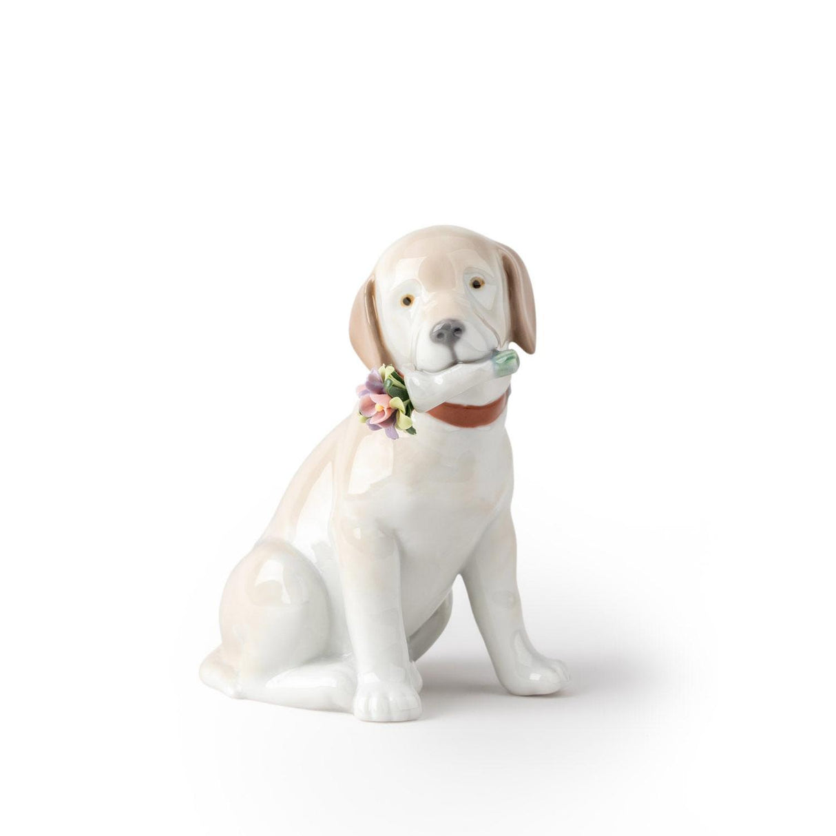 Lladró Figurina Cane Questi Fiori Sono per Te 12x7cm Porcellana