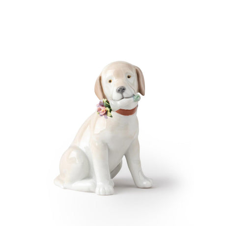 Lladró Figurina Cane Questi Fiori Sono per Te 12x7cm Porcellana