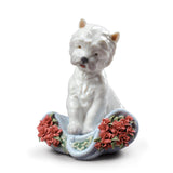 Lladró Figurina Cane Carattere Giocherellone 12x9cm Porcellana
