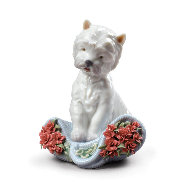 Lladró Figurina Cane Carattere Giocherellone 12x9cm Porcellana
