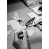 LLADRO' Chandelier Niagara 135 M Lustro Oro 210x135cm Porcellana