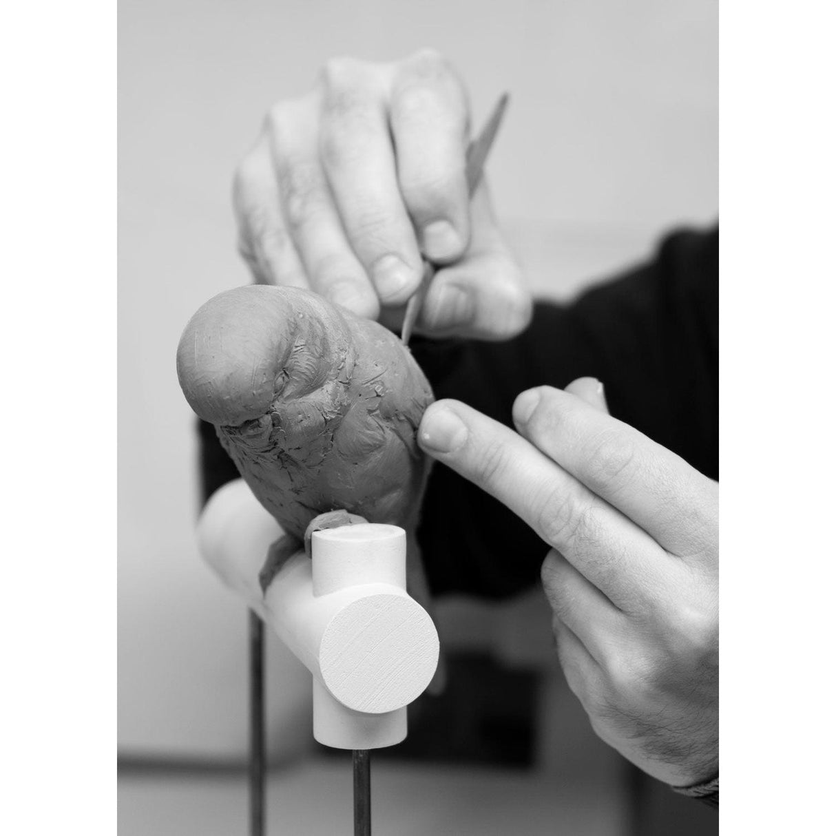 LLADRO' Applique Muro Parrot Sinistra 21x15cm Porcellana