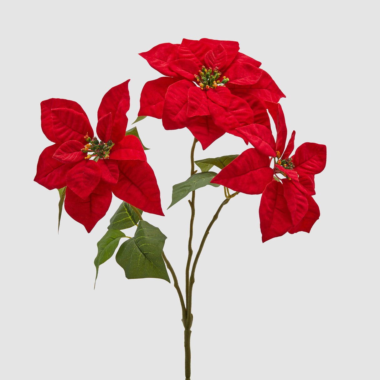 EDG Enzo De Gasperi Stella di Natale Cespuglio 3 Fiori con Foglie 50x25cm Rosso