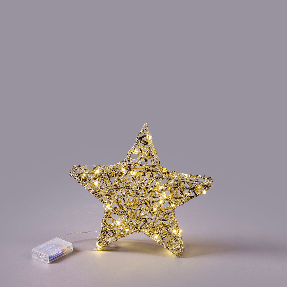 EDG Enzo De Gasperi Decorazione Natalizia Luminosa Stella Intreccio 30 Microled 30cm Oro