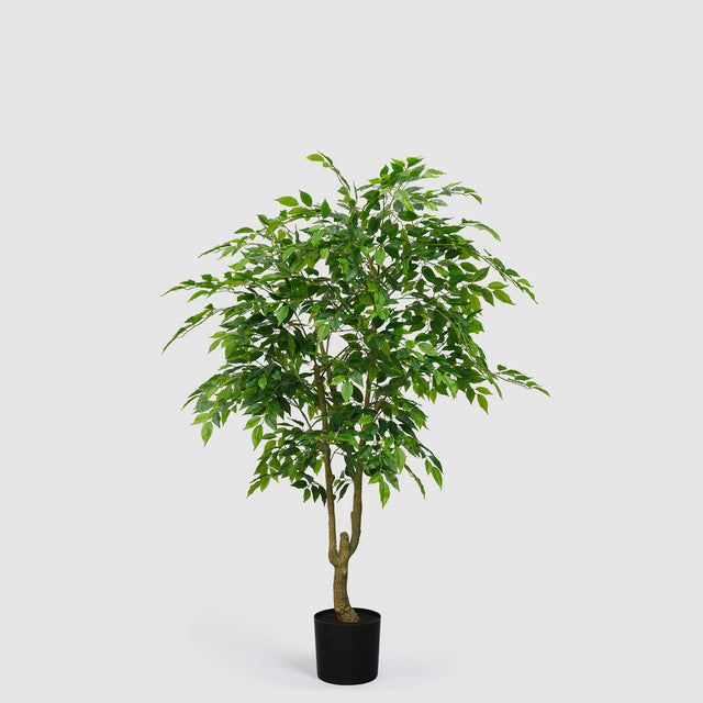 Ficus Benjamin artificiale EDG con foglie realistiche e vaso Vogue 156 cm