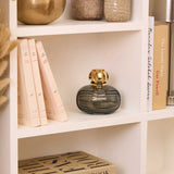 LAMPE BERGER Lampada Catalitica Enigma Grigio