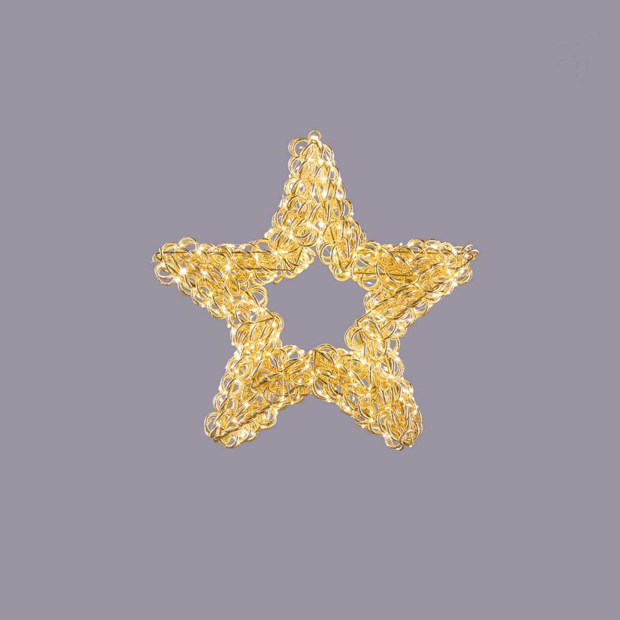 EDG Enzo De Gasperi Stella Luminosa Natalizia Curly Oro 500 MicroLED 50cm