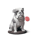 LLADRO' Figurina Cane Bulldog con Leccalecca 33x33cm Porcellana