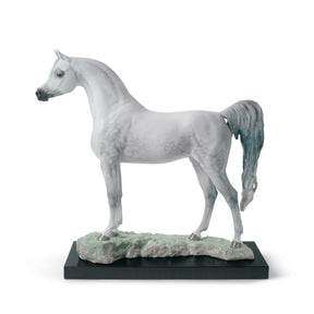 Cavallo Pura Razza Araba Lladrò in porcellana lucida grigia 44x46 cm