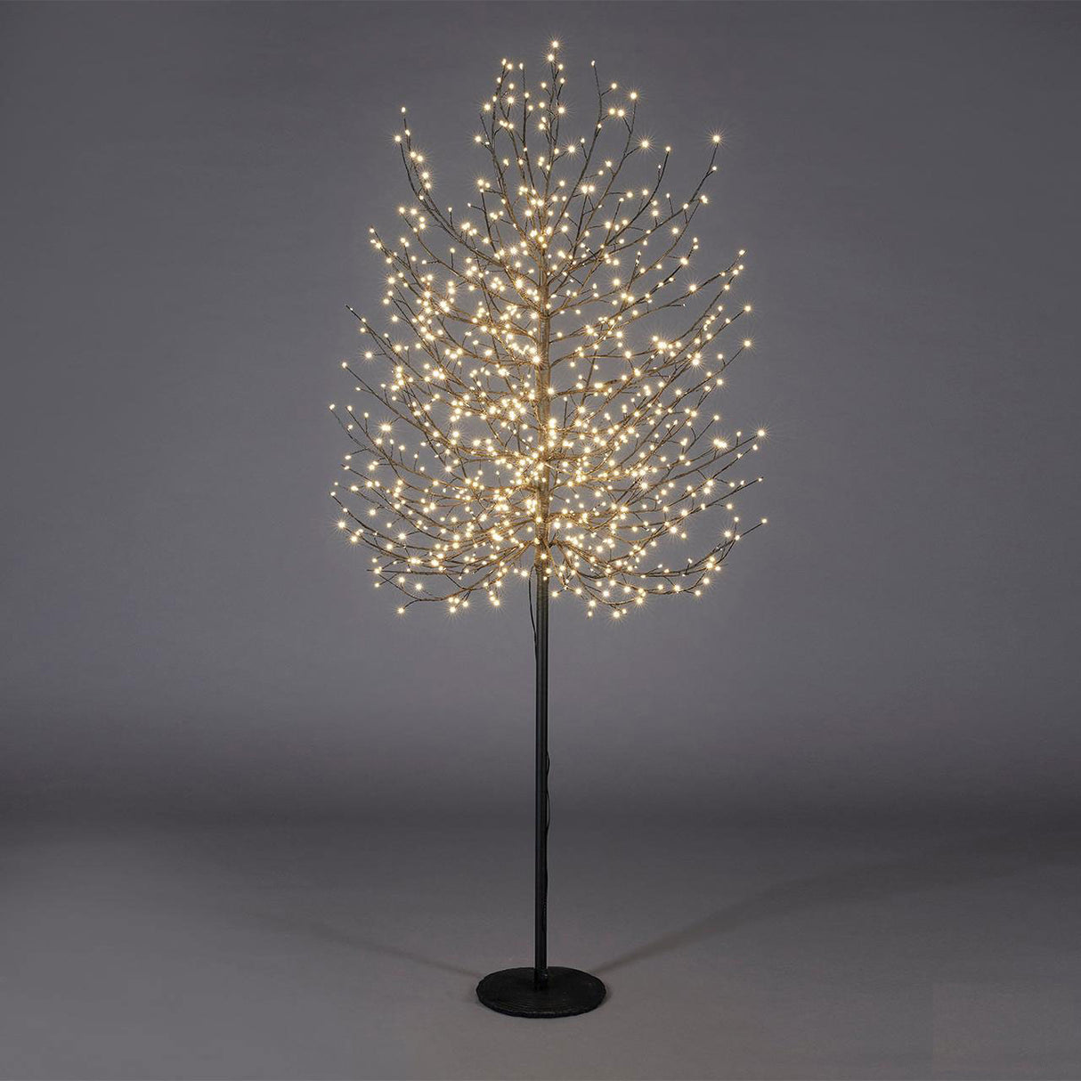 EDG Enzo De Gasperi Beech Christmas Decoration Black Christmas Tree 1300 LED 210cm