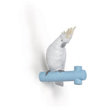 LLADRO' Gancio Appendiabiti Parrot Hang I 17x15cm Porcellana