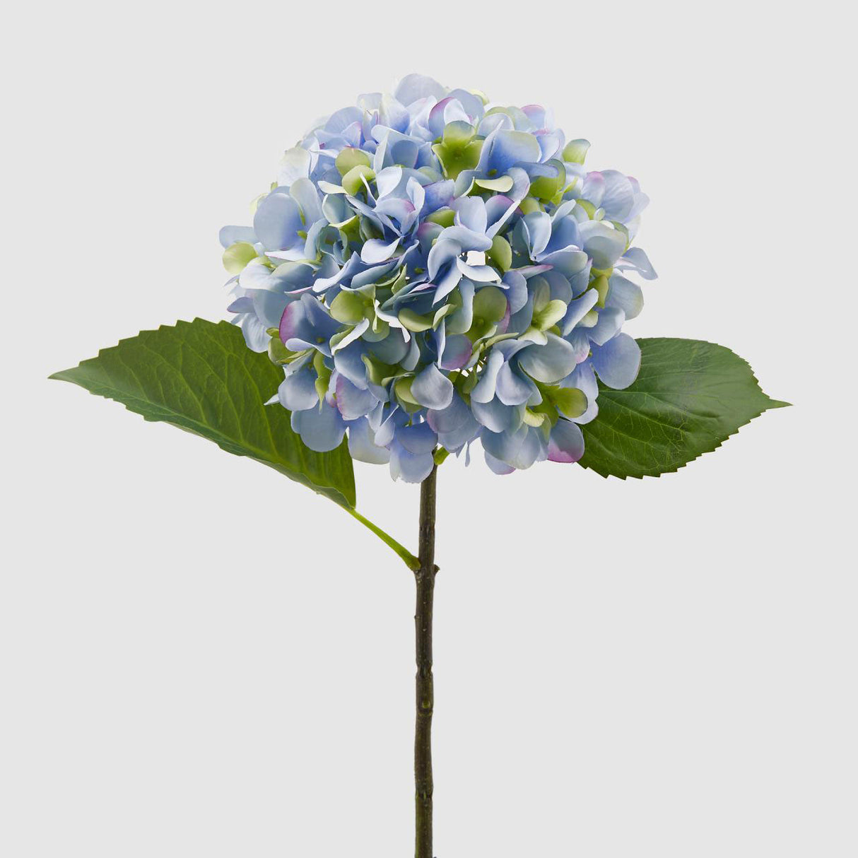 EDG Enzo De Gasperi Hydrangea Olis Branch Artificial Flowers 48cm Light Blue