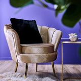 WERNS Poltrona Conchiglia Audrey Champagne 82x75x79cm Velluto