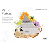 EDG Enzo De Gasperi Ricarica per Diffusore Profumatore 1 Litro Citrus Verbena