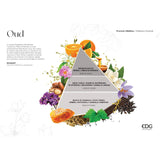 EDG Enzo De Gasperi Ricarica per Diffusore Profumatore 250ml Oud