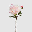 EDG Enzo De Gasperi Ramo Fiore Peonia Realistico 54cm Crema