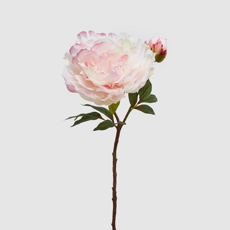 EDG Enzo De Gasperi Ramo Fiore Peonia Realistico 54cm Crema