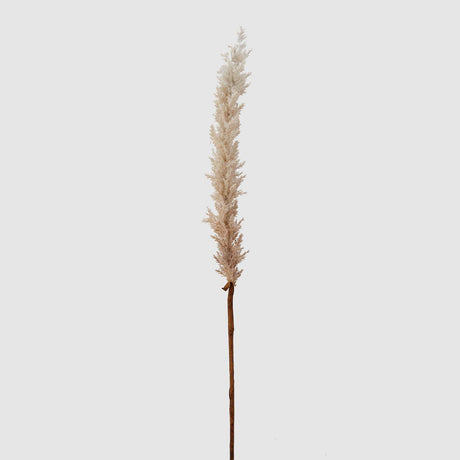 EDG Enzo De Gasperi Canna Palustre Drt Ramo Realistico 100cm Avorio
