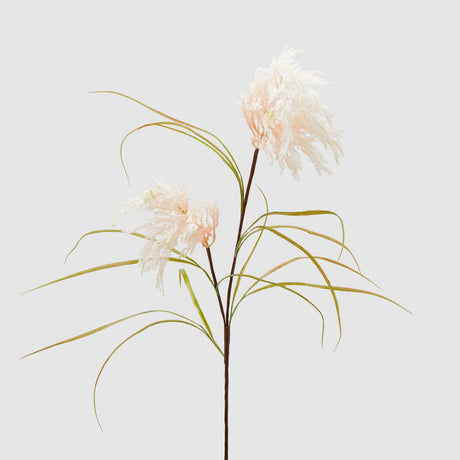 EDG Enzo De Gasperi Pampas Ramo Soft Realistico 120cm Rosa Crema